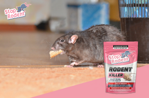 Do rodent baits work against all rodent species?