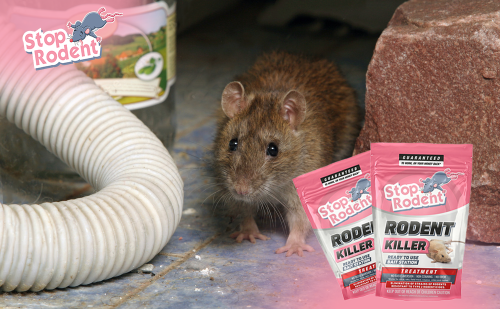 What is the difference between rodent baits and other pest control methods?